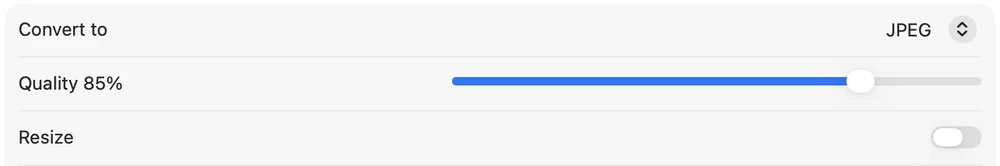 Convert Images settings: convert to JPEG, quality 85 percent, and a resize switch.